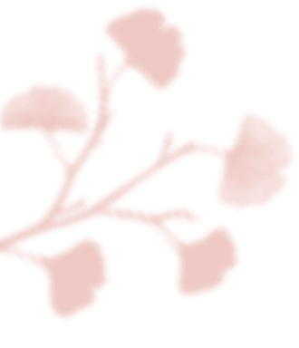 https://noelleunddom.kingsdesign.ch/wp-content/uploads/2020/12/floating_image_03.png