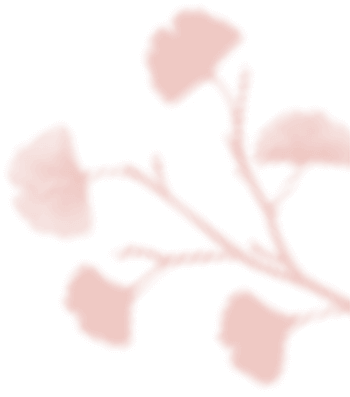 https://noelleunddom.kingsdesign.ch/wp-content/uploads/2020/12/floating_image_04.png