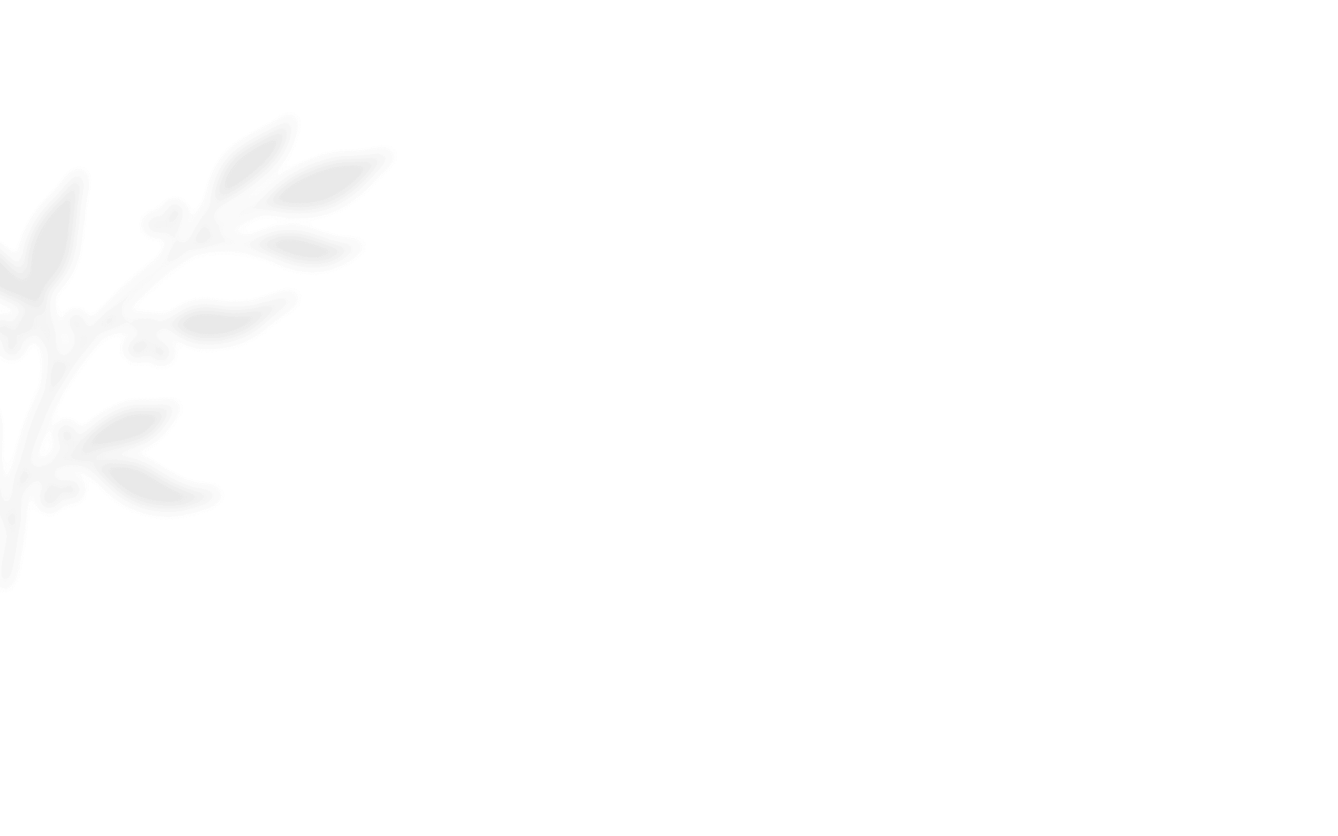 shadow_leaves_01 https://noelleunddom.kingsdesign.ch/wp-content/uploads/2020/12/shadow_leaves_01.png