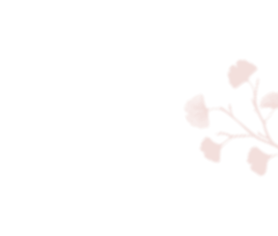 shadow_leaves_05 https://noelleunddom.kingsdesign.ch/wp-content/uploads/2020/12/shadow_leaves_05.png