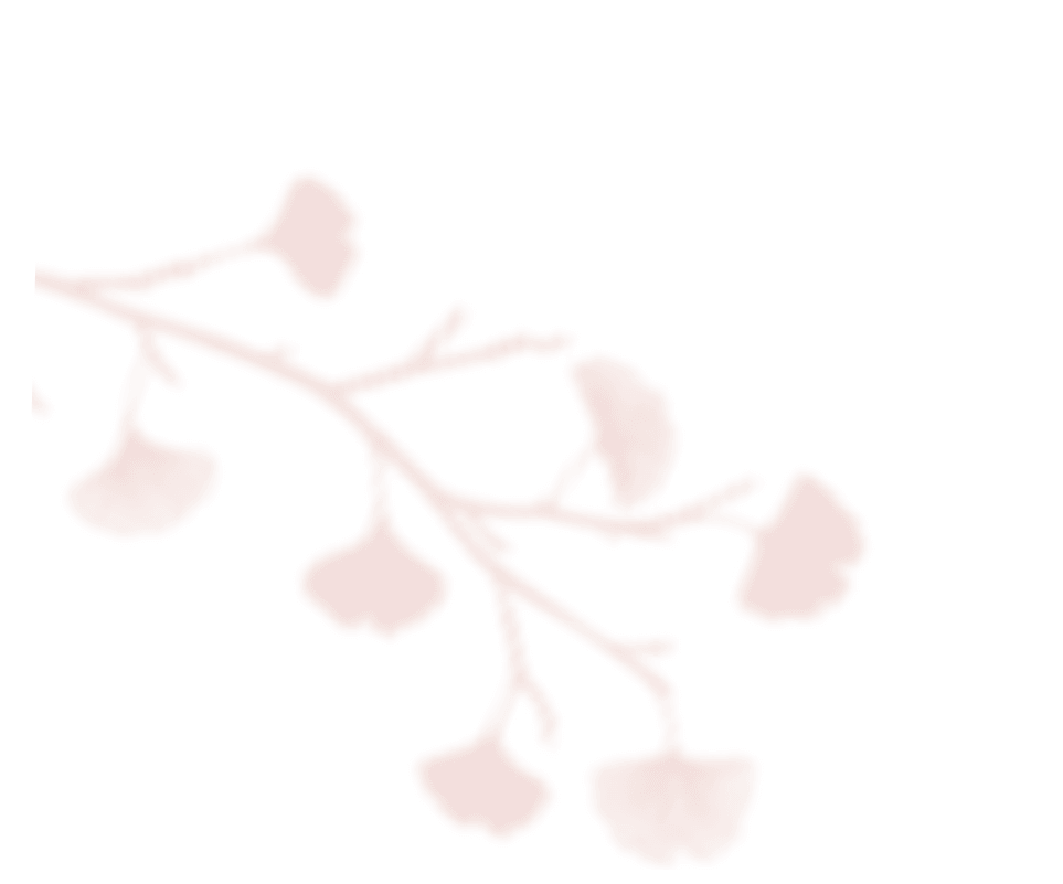 shadow_leaves_06 https://noelleunddom.kingsdesign.ch/wp-content/uploads/2020/12/shadow_leaves_06.png