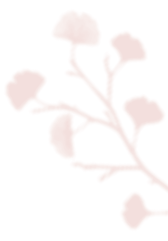 shadow_leaves_07 https://noelleunddom.kingsdesign.ch/wp-content/uploads/2020/12/shadow_leaves_07.png