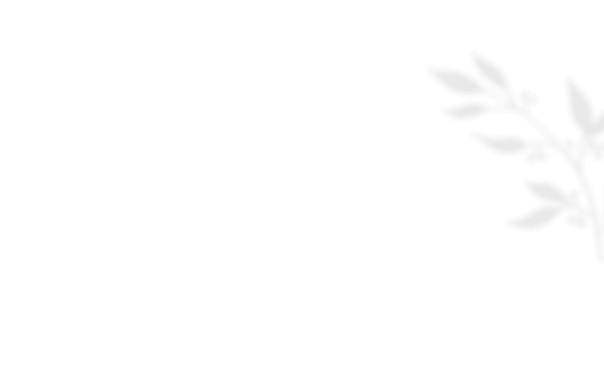shadow_leaves_08 https://noelleunddom.kingsdesign.ch/wp-content/uploads/2021/01/shadow_leaves_08.png